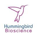 logo of Hummingbird Bioscience