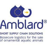 amblard s.a. logo image