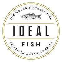 ideal fish