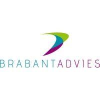 brabantadvies logo image