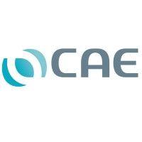 cae (concept assainissement environnement) logo image