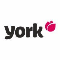 york pl logo image