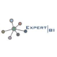 expert business intelligence logo image