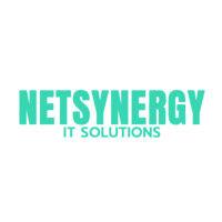 netsynergy solutions sdn bhd