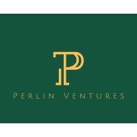 perlin ventures logo image