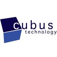 cubus technology logo image