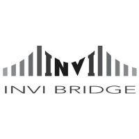 invi bridge company limited