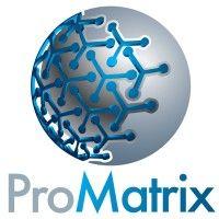 promatrix inc. logo image