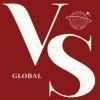 vs global logo image