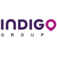 indigo group logo image