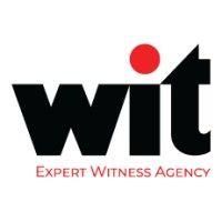 wit legal, llc logo image