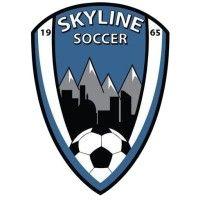 skyline soccer association logo image