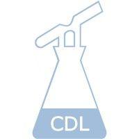 chemisch dispuut leiden logo image