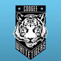 coogee white tigers football club