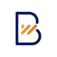 betterwise learning logo image