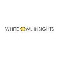 white owl insights logo image