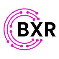 boutique xr logo image