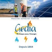 groupe gedia logo image