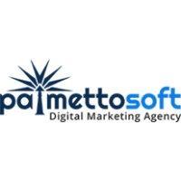 palmettosoft llc logo image