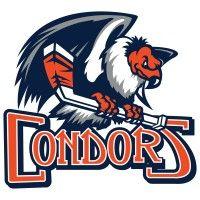 bakersfield condors logo image