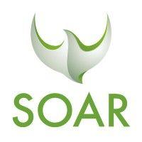 soar solutions logo image