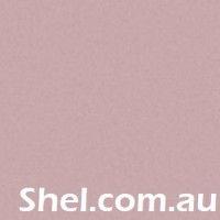 shel logo image