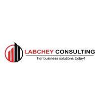 labchey consulting logo image