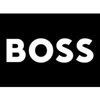 hugo boss logo image