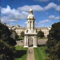 trinity college dublin school of law