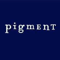 pigment productions logo image