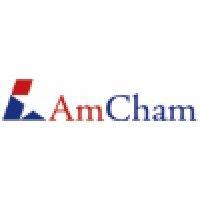 american chamber of commerce in croatia (amcham croatia)