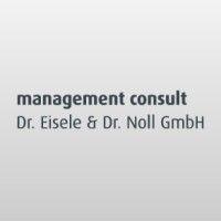 management consult dr. eisele & dr. noll gmbh logo image