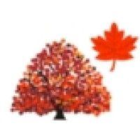 maple tree technologies (canada) ltd logo image