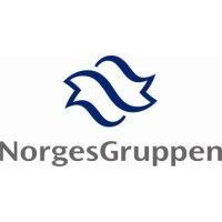 norgesgruppen finans as logo image