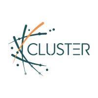 cluster consulting logo image