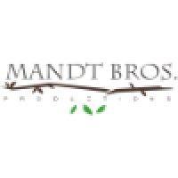 mandt brothers productions logo image