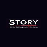 story france logo image