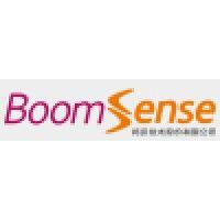 boomsense technology co., ltd. logo image