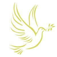 projects for peace logo image