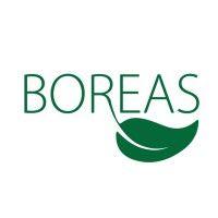 boreas logo image