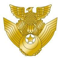 japan air self-defense force logo image