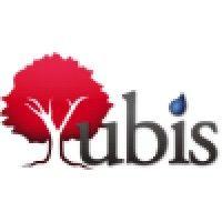 yubis it solution limited