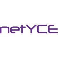 netyce logo image