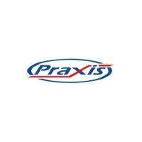 praxis-eia logo image