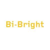 bi-bright logo image