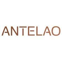 antelao sp. z o.o. logo image