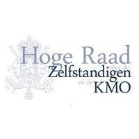 hoge raad voor de zelfstandigen en de kmo (hrzkmo)