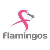 flamingos logo image