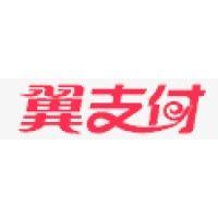 天翼电子商务有限公司 logo image