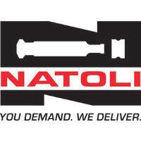 natoli engineering company, inc. logo image